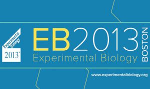 eb-logo